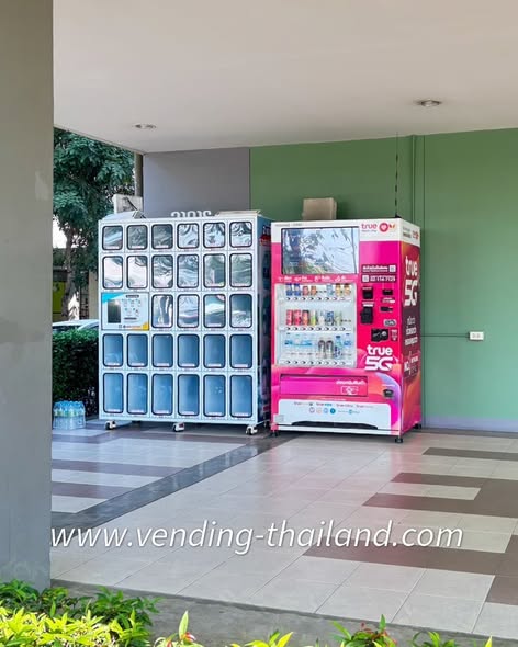 590350904 1481354160195518 8771707590851938257 n