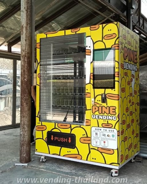 683416550 1609280310736235 7270251861442819231 n